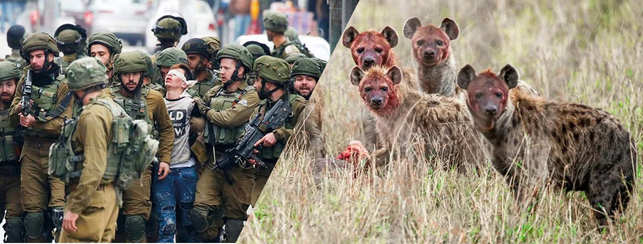 Are the isreal Zionists wild animals?